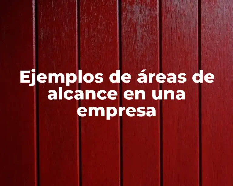 Ejemplos de áreas de alcance en una empresa