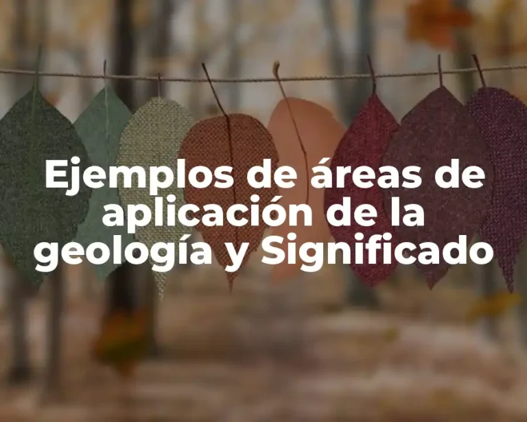 Ejemplos de áreas de aplicación de la geología y Significado