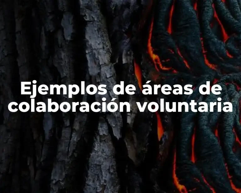 Ejemplos de áreas de colaboración voluntaria
