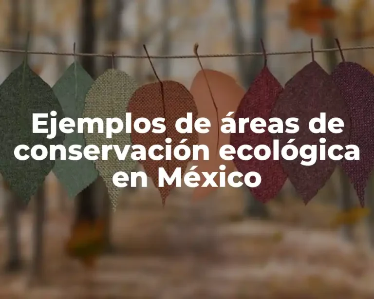 Ejemplos de áreas de conservación ecológica en México