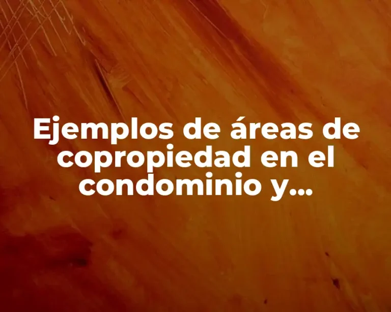 Ejemplos de áreas de copropiedad en el condominio y Significado