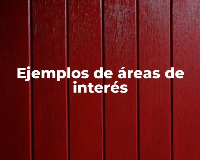 Ejemplos de áreas de interés