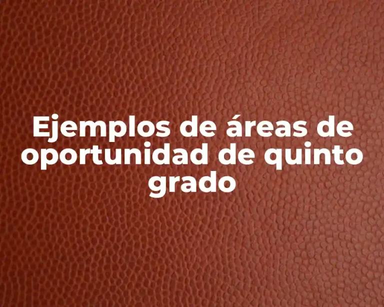 Ejemplos de áreas de oportunidad de quinto grado