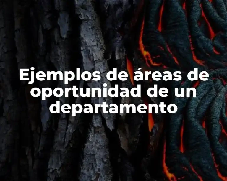Ejemplos de áreas de oportunidad de un departamento