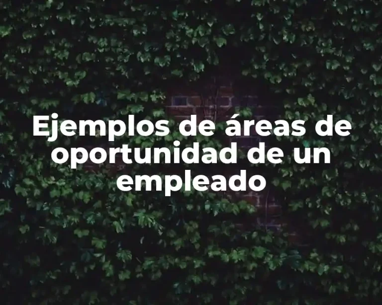 Ejemplos de áreas de oportunidad de un empleado