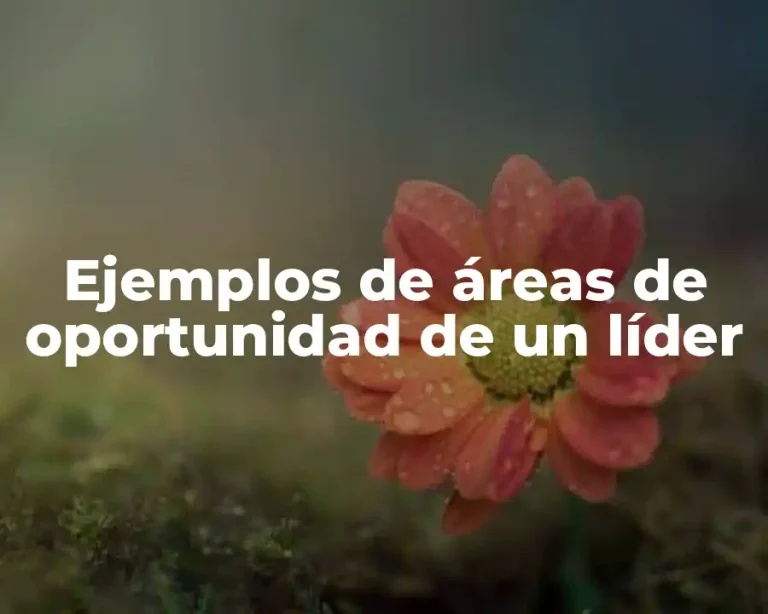 Ejemplos de áreas de oportunidad de un líder