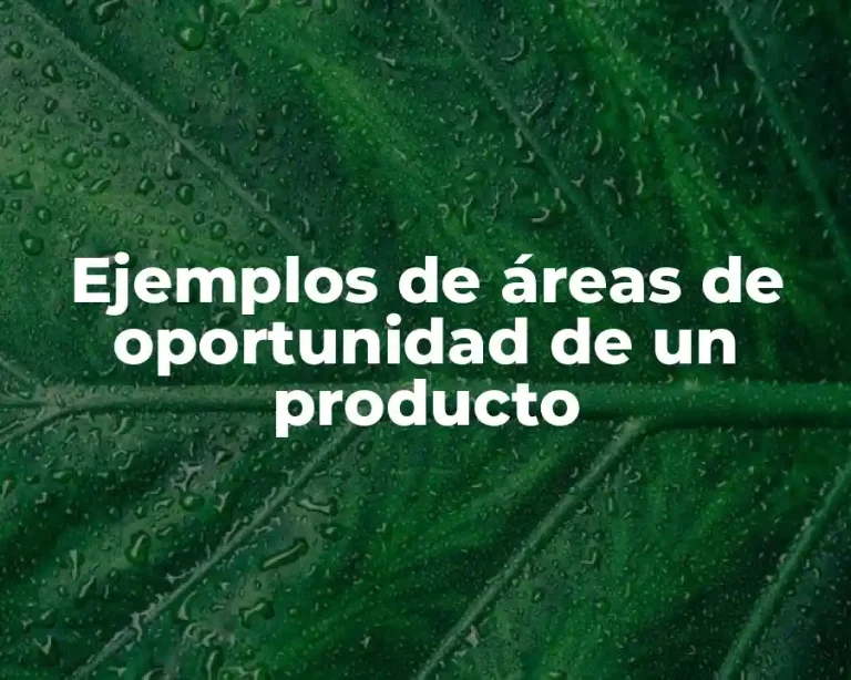 Ejemplos de áreas de oportunidad de un producto