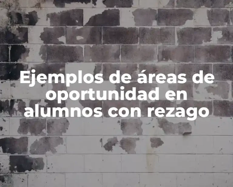 Ejemplos de áreas de oportunidad en alumnos con rezago