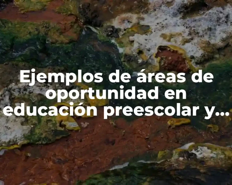 Ejemplos de áreas de oportunidad en educación preescolar y Significado