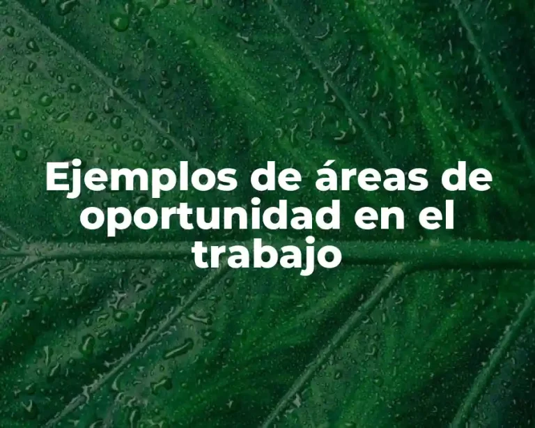 Ejemplos de áreas de oportunidad en el trabajo