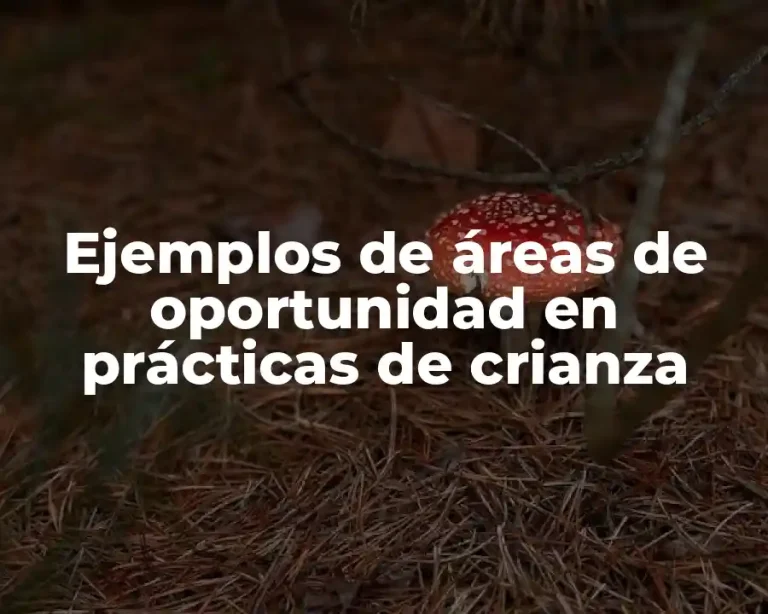 Ejemplos de áreas de oportunidad en prácticas de crianza