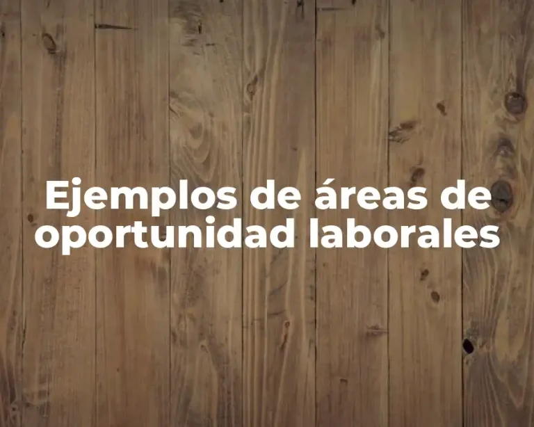 Ejemplos de áreas de oportunidad laborales