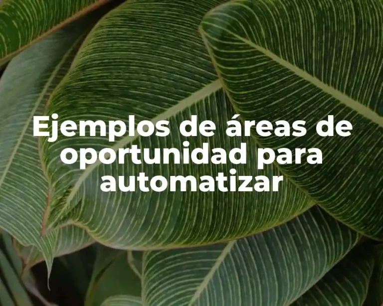Ejemplos de áreas de oportunidad para automatizar