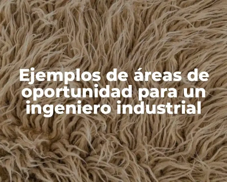 Ejemplos de áreas de oportunidad para un ingeniero industrial