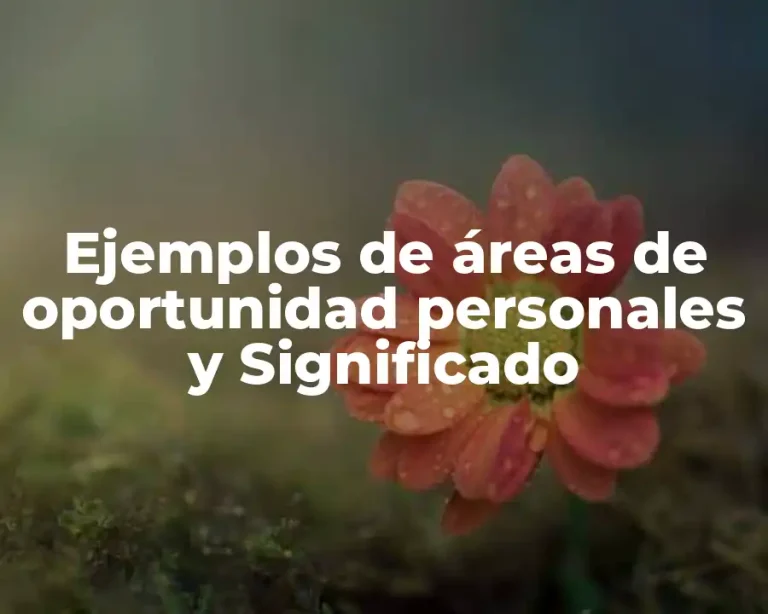 Ejemplos de áreas de oportunidad personales y Significado