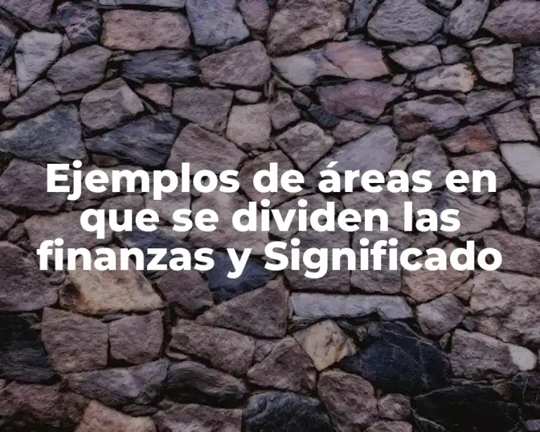 Ejemplos de áreas en que se dividen las finanzas y Significado