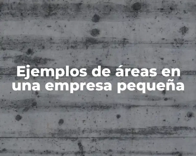 Ejemplos de áreas en una empresa pequeña