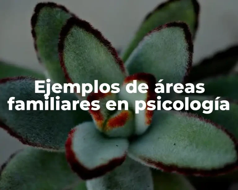 Ejemplos de áreas familiares en psicología