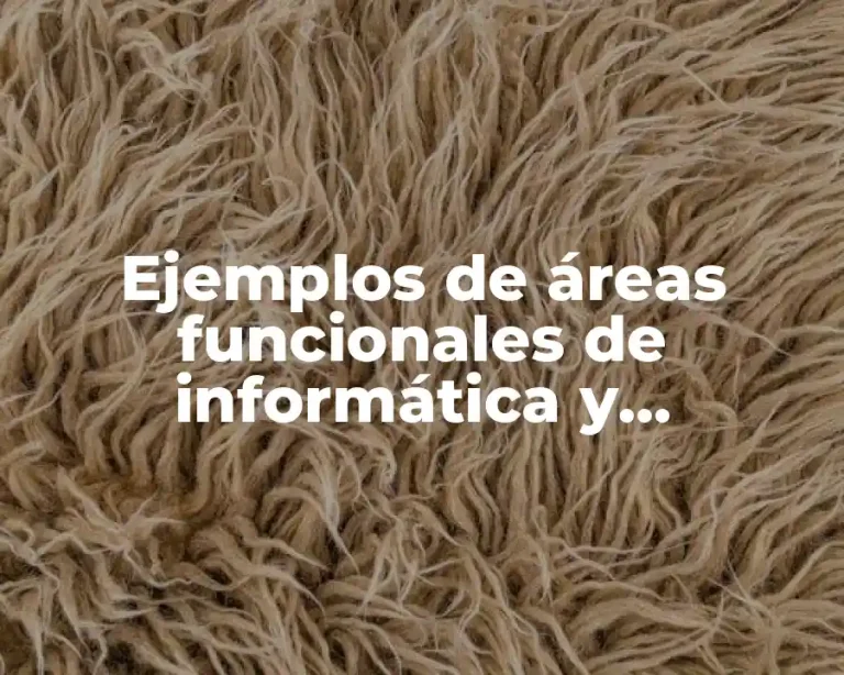 Ejemplos de áreas funcionales de informática y Significado