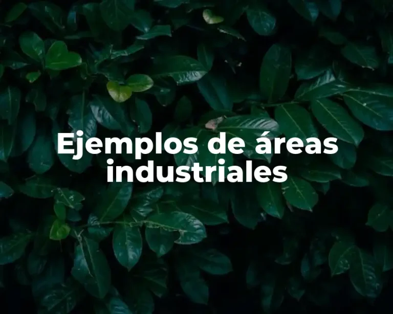 Ejemplos de áreas industriales
