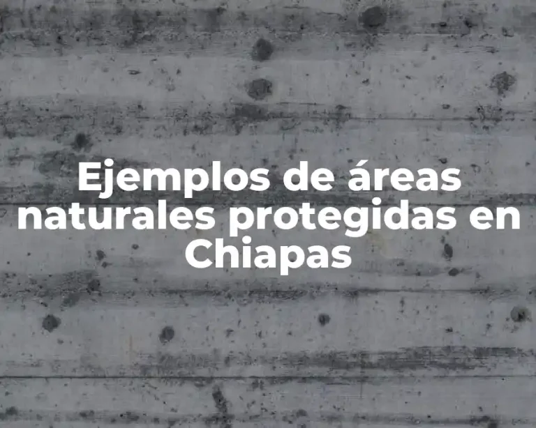Ejemplos de áreas naturales protegidas en Chiapas