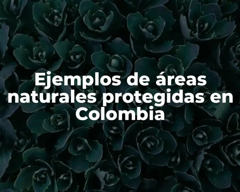 Ejemplos de áreas naturales protegidas en Colombia