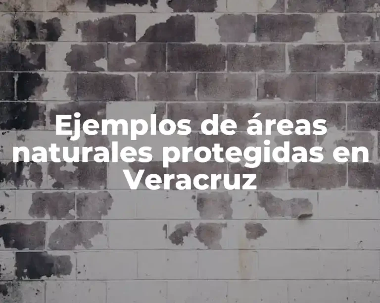 Ejemplos de áreas naturales protegidas en Veracruz