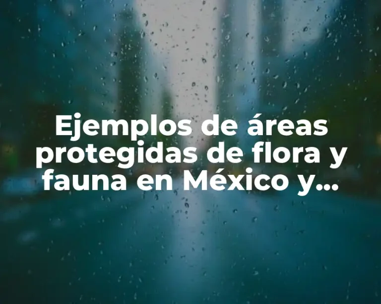 Ejemplos de áreas protegidas de flora y fauna en México y Significado