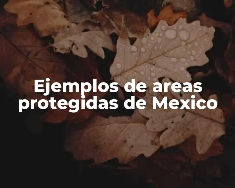 Ejemplos de areas protegidas de Mexico