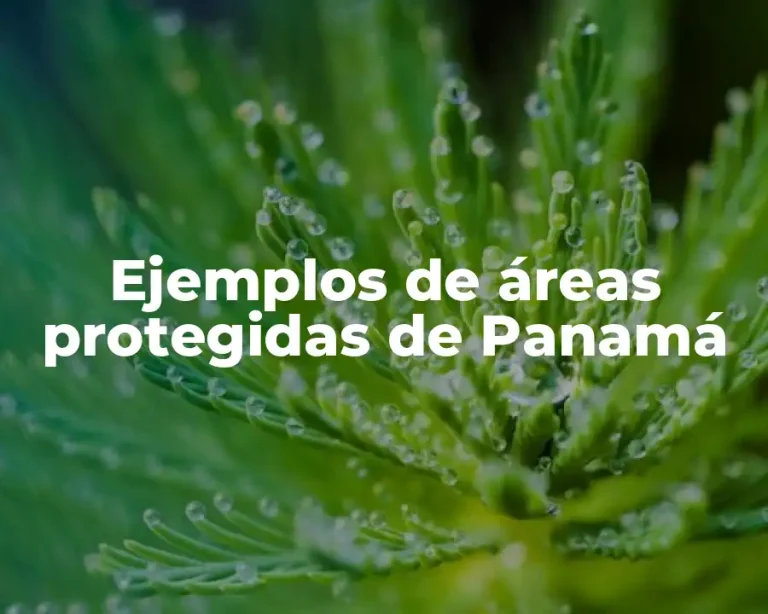Ejemplos de áreas protegidas de Panamá