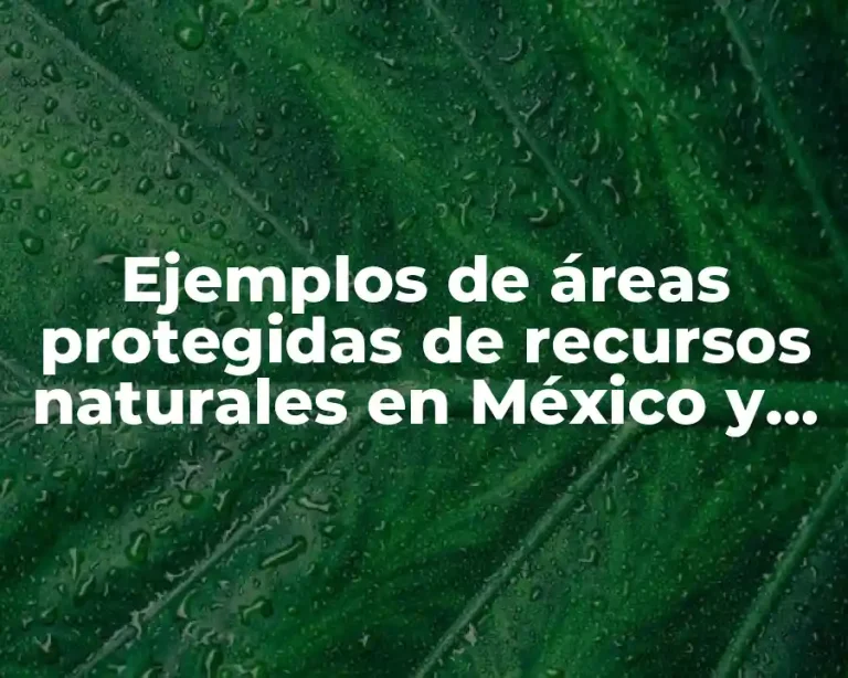Ejemplos de áreas protegidas de recursos naturales en México y Significado