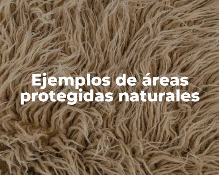 Ejemplos de áreas protegidas naturales