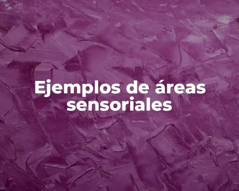 Ejemplos de áreas sensoriales