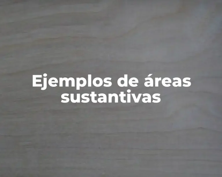 Ejemplos de áreas sustantivas