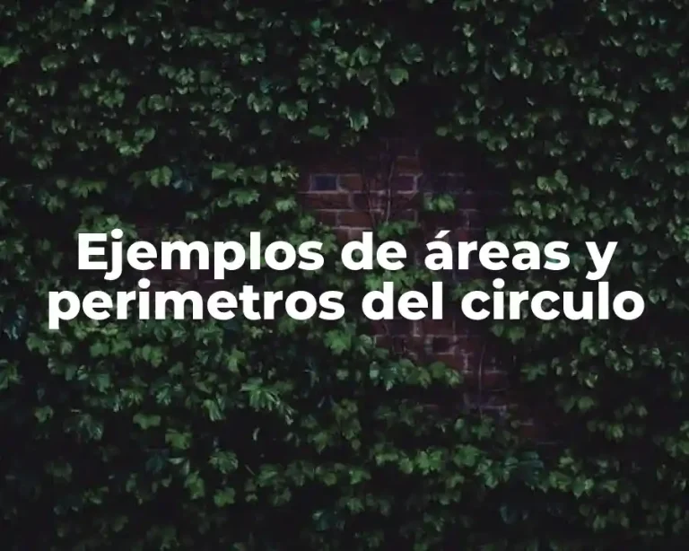 Ejemplos de áreas y perimetros del circulo