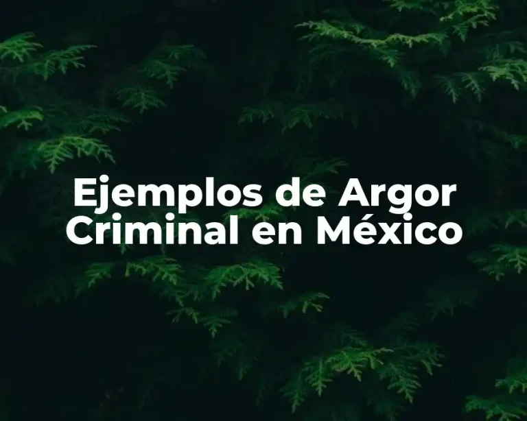 Ejemplos de Argor Criminal en México