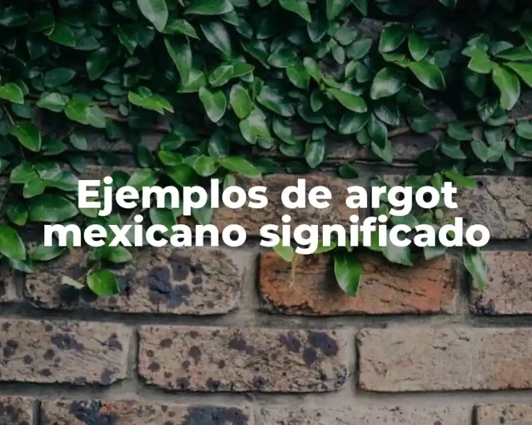 Ejemplos de argot mexicano significado