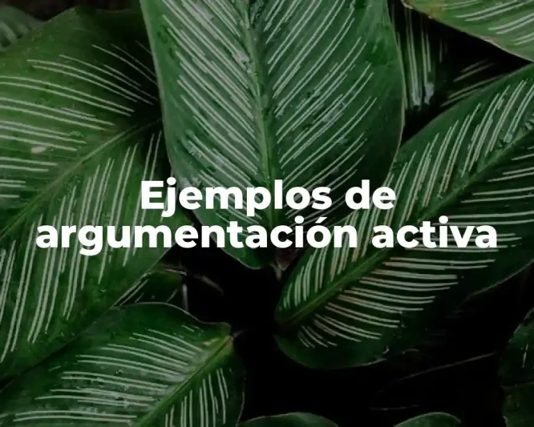 Ejemplos de argumentación activa