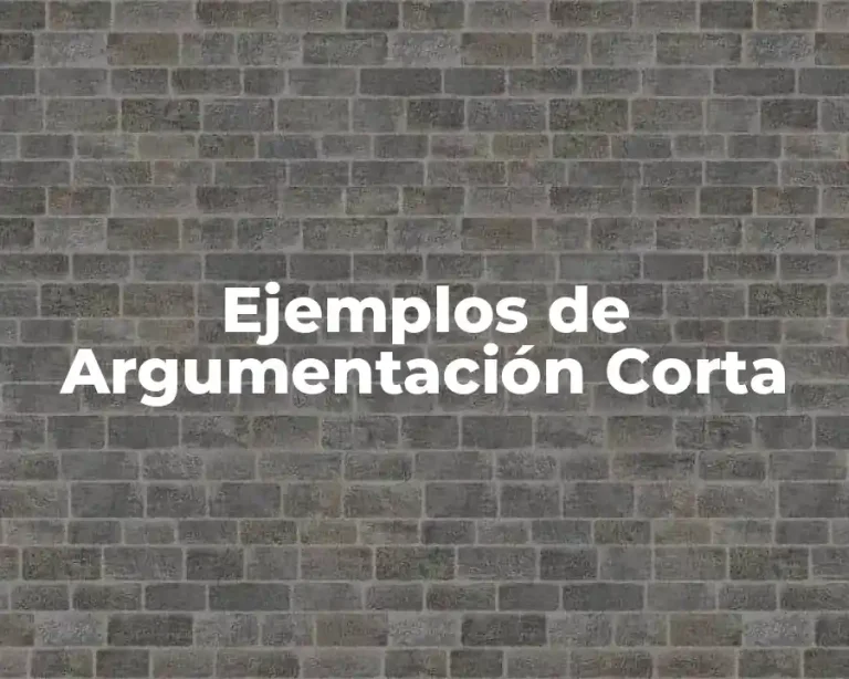 Ejemplos de Argumentación Corta