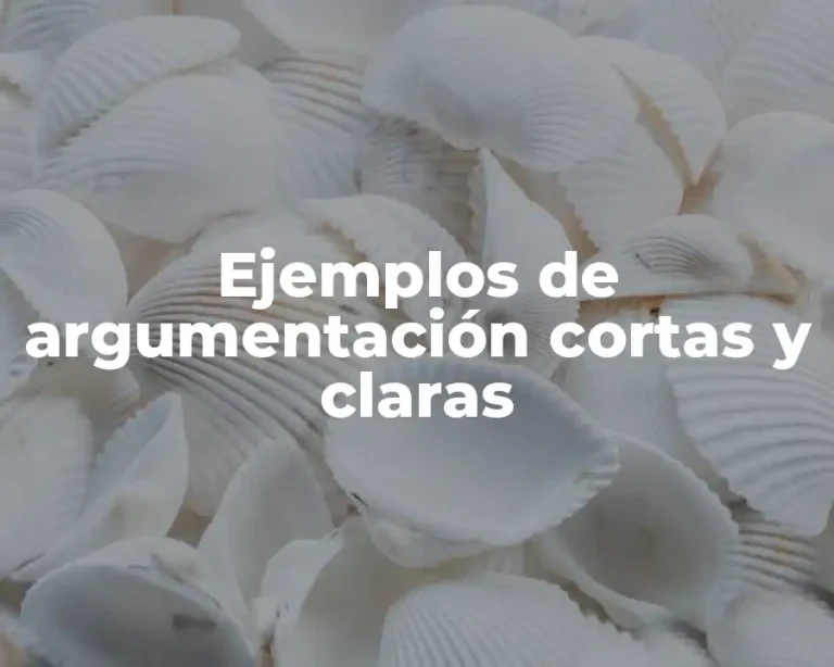 Ejemplos de argumentación cortas y claras