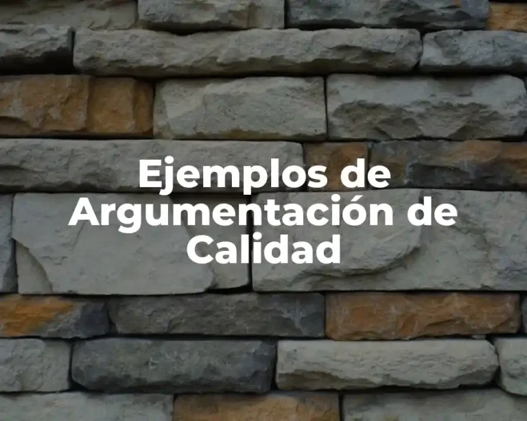 Ejemplos de Argumentación de Calidad