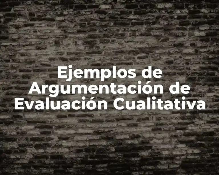 Ejemplos de Argumentación de Evaluación Cualitativa