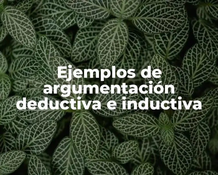 Ejemplos de argumentación deductiva e inductiva