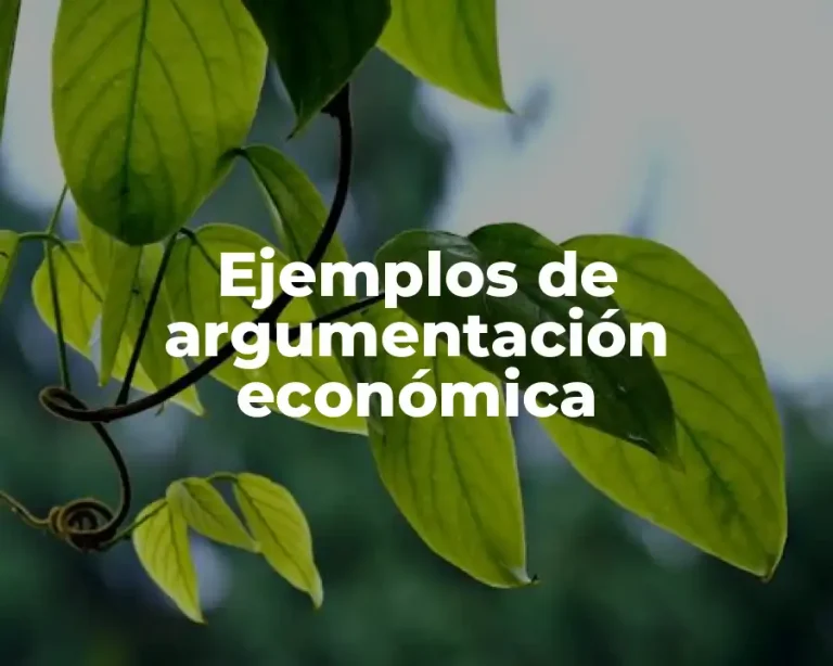 Ejemplos de argumentación económica