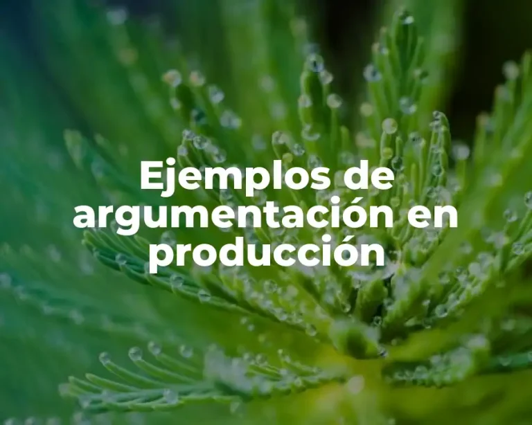 Ejemplos de argumentación en producción