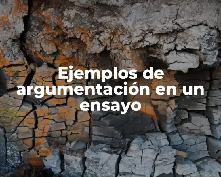 Ejemplos de argumentación en un ensayo