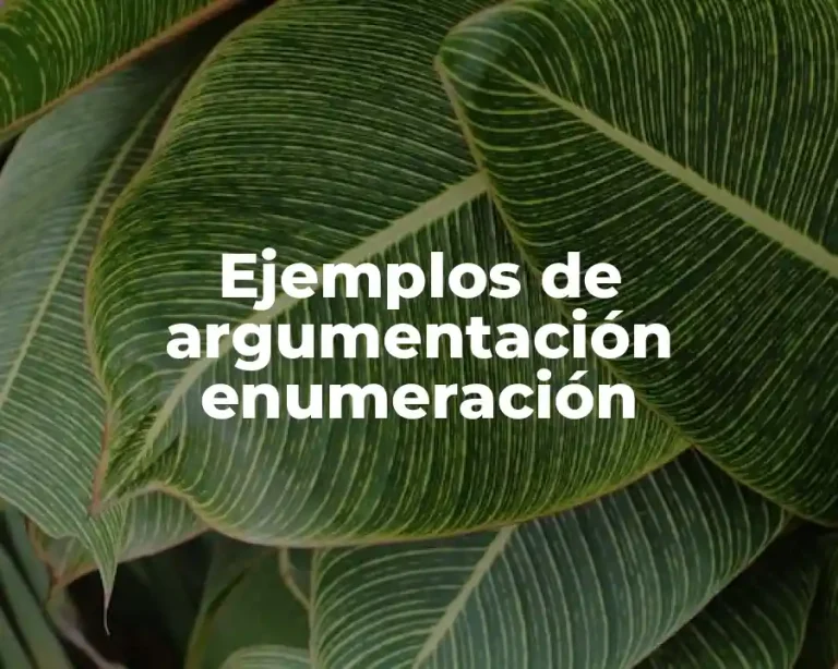 Ejemplos de argumentación enumeración