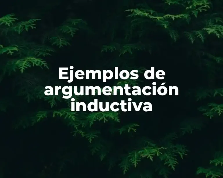 Ejemplos de argumentación inductiva