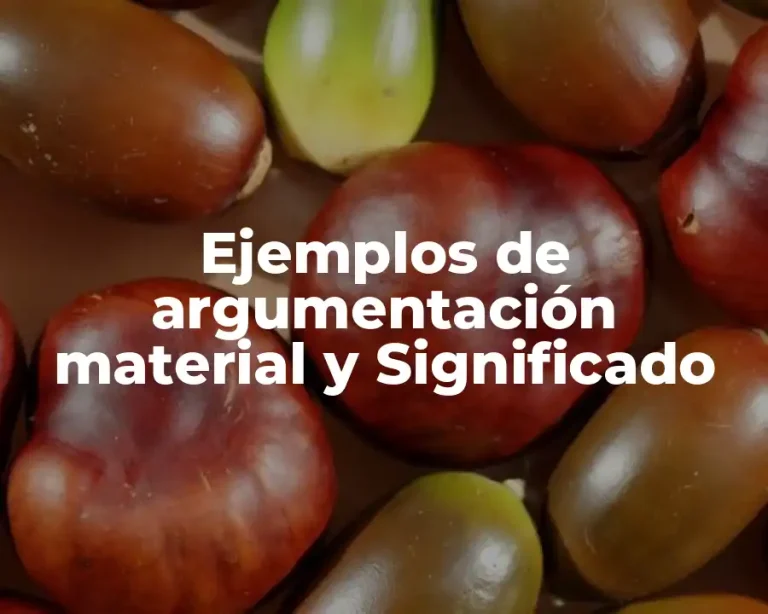 Ejemplos de argumentación material y Significado