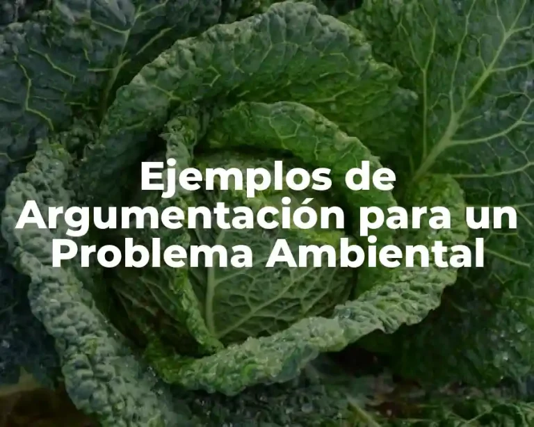 Ejemplos de Argumentación para un Problema Ambiental